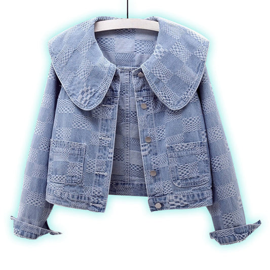 Cassidy Denim Jacket